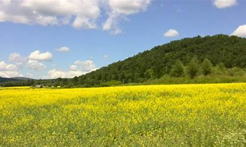 阿荣旗天气预报15天查询结果_阿荣旗天气