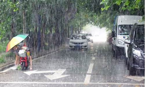 天气预报青岛暴雨最新消息查询_天气预报青