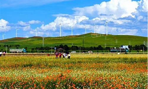 张北草原自驾游多少钱_张北草原旅游路线