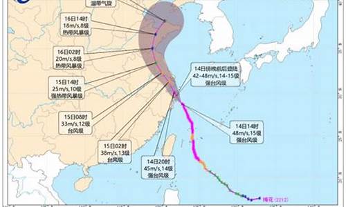 2021年台风预_2022年台风预测