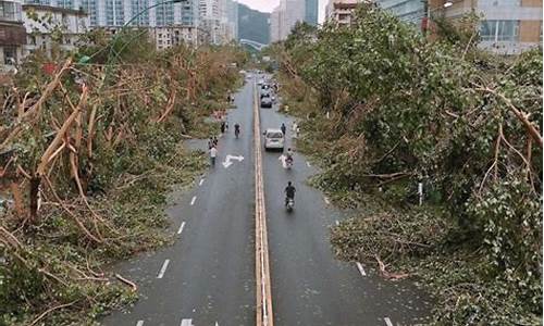 厦门台风实况_厦门台风情况